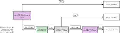 A two-stage maintenance trial of cetuximab-based treatment in RAS and BRAF wild-type unresectable metastatic colorectal cancer: a retrospective real-world study